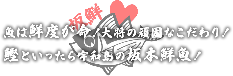 魚は鮮度が命！大将の頑固なこだわり！鰹といったら宇和島の坂本鮮魚！
